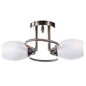 Светильник Айтин-Про НПБ 02-2*60-101 N3118/2