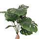 Букет Монстера 65 см
