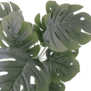 Букет Монстера 65 см