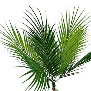Букет ветка пальмы 50 см