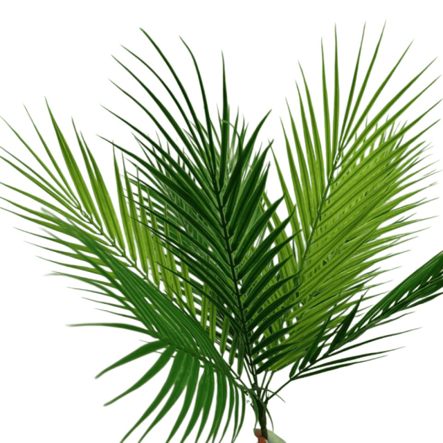 Букет ветка пальмы 50 см