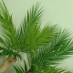 Букет ветка пальмы 50 см