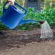 Лейка садовая Russia 67520 пластмассовая 10 л