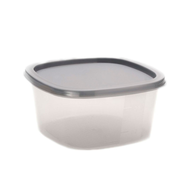 Контейнер SparkPlast BioFresh IS10503 квадратный микс 0.9 л