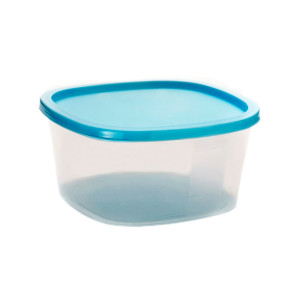 Контейнер SparkPlast BioFresh IS10504 квадратный микс 1.55 л