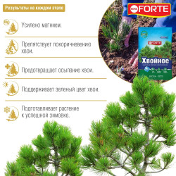 Удобрение Bona Forte Хвойное с микроэлементами 2 кг