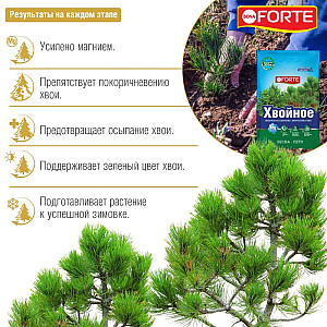 Удобрение Bona Forte Хвойное с микроэлементами 2 кг