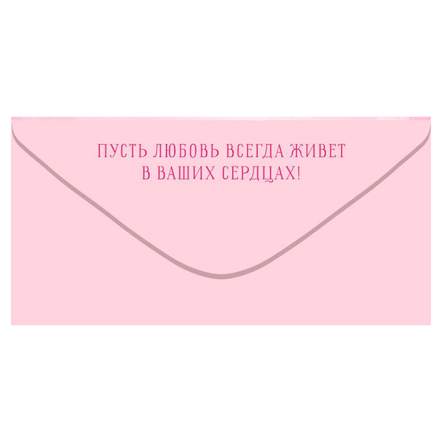 Конверт для денег Открытая планета 410 С Днем Свадьбы! 70.575