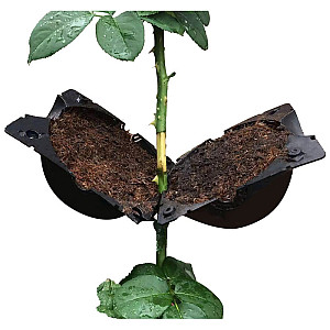 Шар прививочный Рыжий кот 2 шт