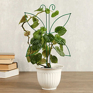 Шпалера Мотылек, 44*24 см