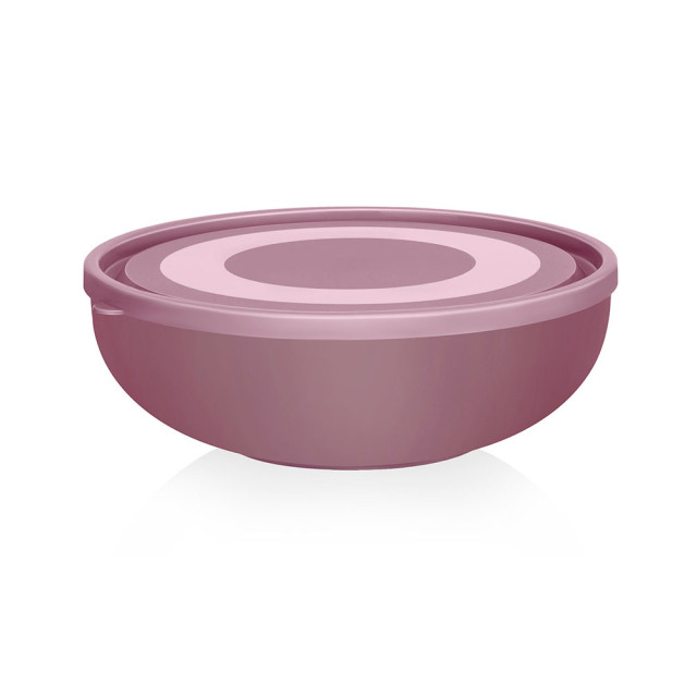 Салатница Elfplast 623 с крышкой 2.6 л