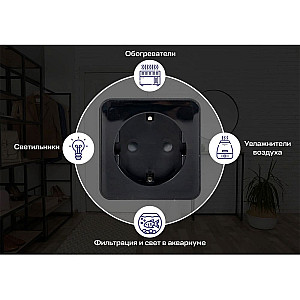 Умная розетка EKF Сonnect PRO RCS-2-WF Wi-Fi черная