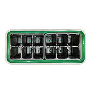 Мини-парник InGreen ING60001F пластмассовый 12 ячеек зеленый 400*174*130 мм