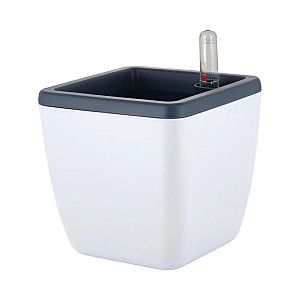 Горшок с автополивом InGreen Munchen Белоснежный жасмин квадратный с внутренней вставкой 1.5 л