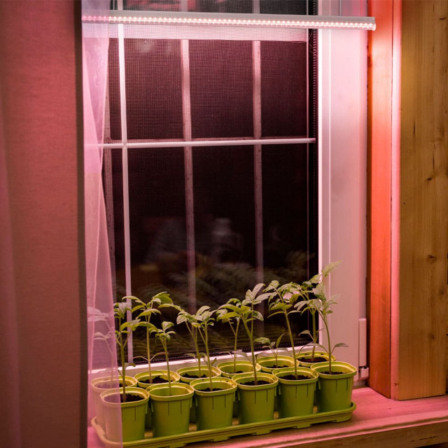 Фито светильник TDM Electric 06-14-001 SQ0372-1002 873 мм с выключателем