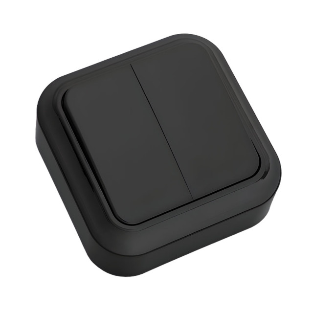 Выключатель Bylectrica Пралеска А5 6-134 2 клавиши открытый 6А черный