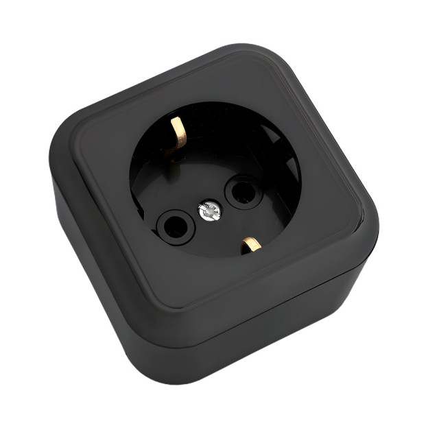 Розетка Bylectrica Пралеска РА16-254 1 место с заземлением черная