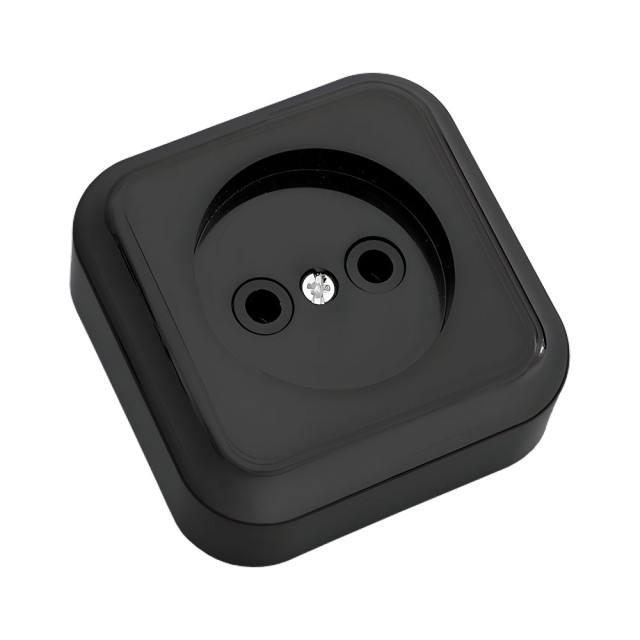 Розетка Bylectrica Пралеска РА16-255 1 место без заземления черная