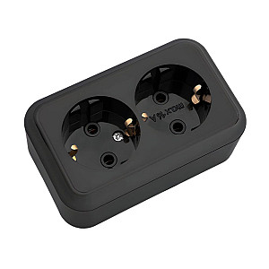 Розетка Bylectrica Пралеска РА16-261 2 места с заземлением черная