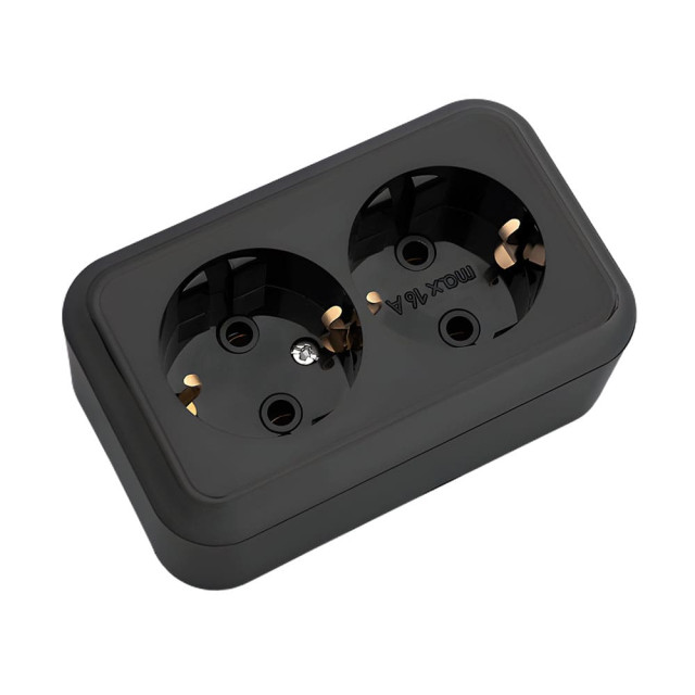 Розетка Bylectrica Пралеска РА16-261 2 места с заземлением черная