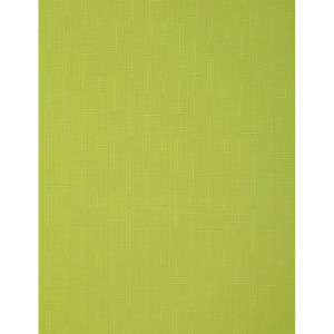 Штора рулонная Delfa Сантайм Лен СРШ-01МЭ-2653 56(52)/160 см светло-зеленый
