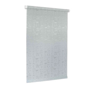 Штора рулонная Delfa Азия СРШ-01М-25104 77(73)/170 см серый