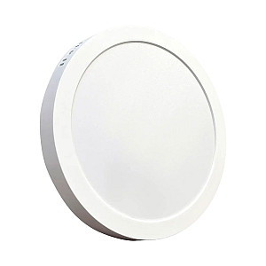 Светильник накладной TruEnergy Electro 10107 круглый 25W 4000K IP40