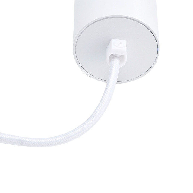 Светильник подвесной TruEnergy Modern 21324 с матовым кольцом с цоколем GU10 55*280 мм