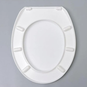 Сиденье для унитаза Berossi АС 15801000 снежно-белый