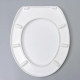 Сиденье для унитаза Berossi АС 15801000 снежно-белый