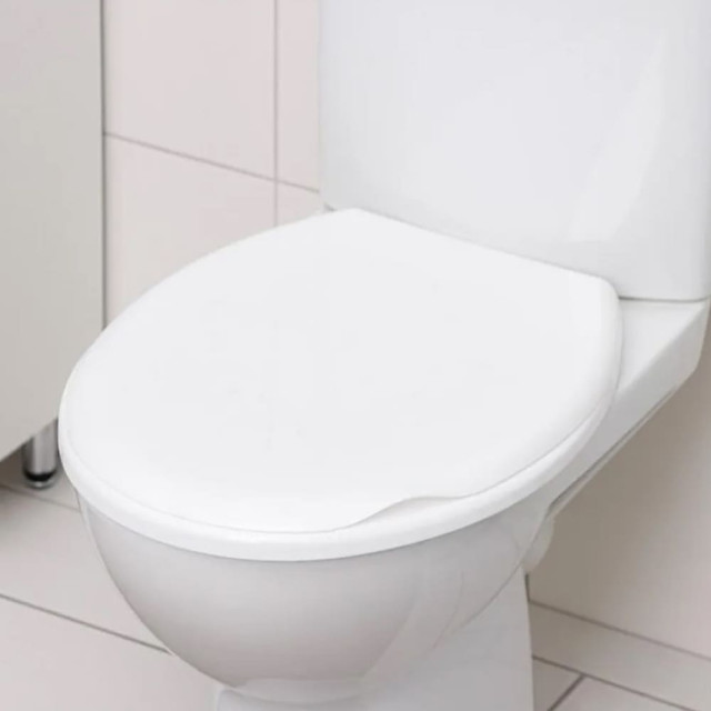 Сиденье для унитаза Berossi АС 15801000 снежно-белый