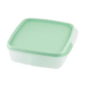 Контейнер-менажница Optimplast Travel фисташковый 0.75 л