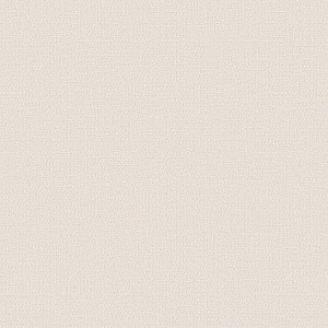 Обои BelVinil Феникс фон 10СБ10 61 0.53*10.05 м