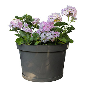 Горшок для цветов Гарденпласт Фикус 20 графит 20 л