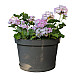 Горшок для цветов Гарденпласт Фикус 20 графит 20 л