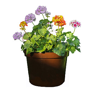 Горшок для цветов Гарденпласт Фикус 20 шоколад 20 л