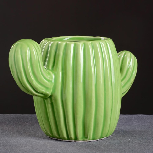 Кашпо для цветов керамическое Кактус 18*11 см