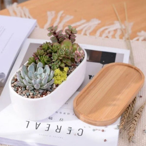 Кашпо керамическое с деревянной подставкой Эко Бонсай 17*9*6 см