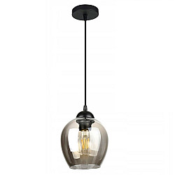 Светильник Айтин-Про НСБ 01-60-101 S6910/1 черный