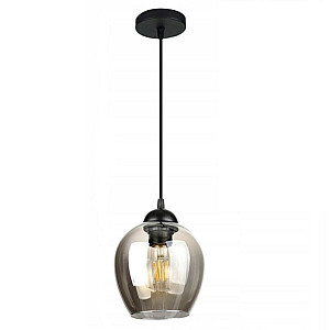 Светильник Айтин-Про НСБ 01-60-101 S6910/1 черный