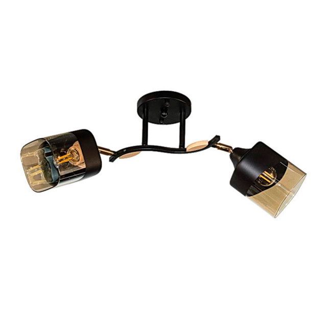 Светильник Айтин-Про НПБ 02-2*60-101 52075/2 черный/золото