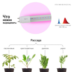 Лампа светодиодная Эра LED FITO-18W-RB-Т8-G13-NL Б0042990 красно-синего спектра 1200 мм