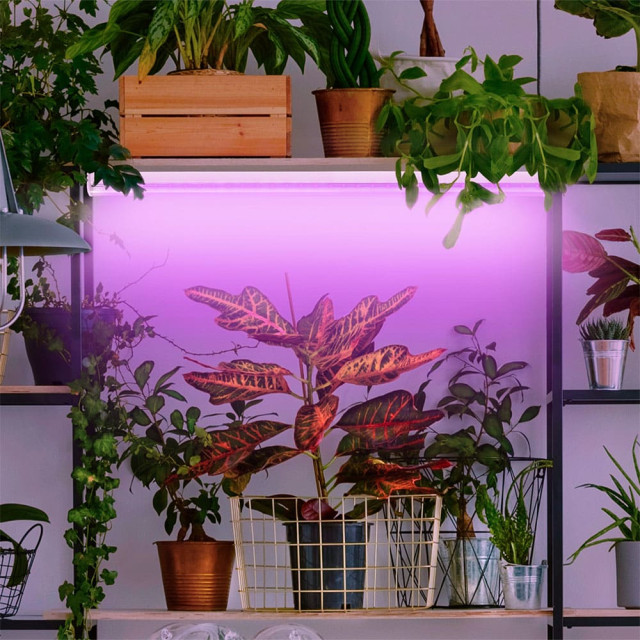 Лампа светодиодная Эра LED FITO-18W-RB-Т8-G13-NL Б0042990 красно-синего спектра 1200 мм