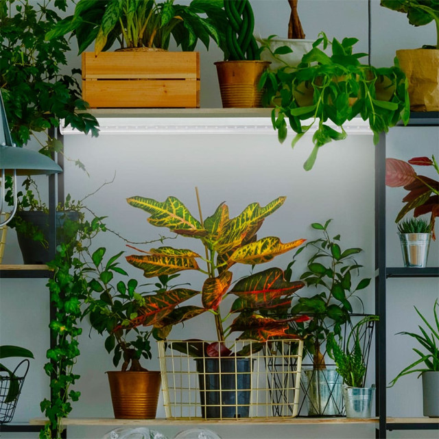 Лампа светодиодная Эра LED FITO-9W-Ra90-Т8-G13-NL Б0042988 полного спектра 600 мм