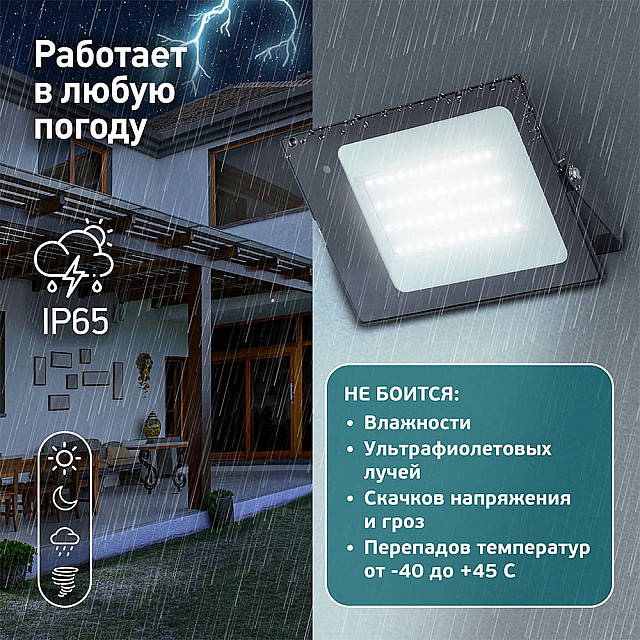 Прожектор Эра Стандарт LPR-041-1-65K-050 50Вт датчик движения нерегулируемый