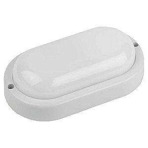 Светильник ЖКХ Эра SPB-202-0-40K-012 200*98 мм овал