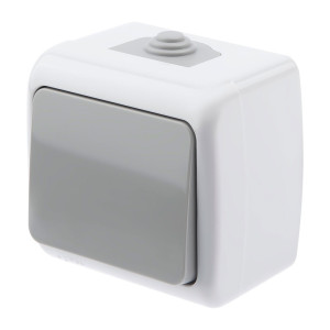 Выключатель Intro Atlantic 5-101-03 Б0050940 открытой установки серый