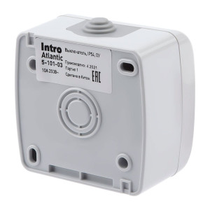 Выключатель Intro Atlantic 5-101-03 Б0050940 открытой установки серый