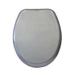 Сиденье для унитаза Bisk Iris 05867 металлик