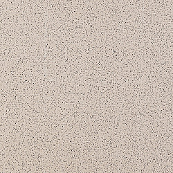 Керамогранит Estima Standard ST01 300*300*8 мм неполированный бежевый